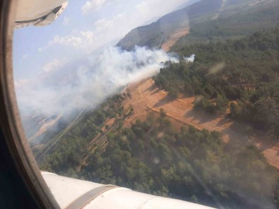 Aydin'da Yildirim Kaynakli Yanginlar Söndürüldü
