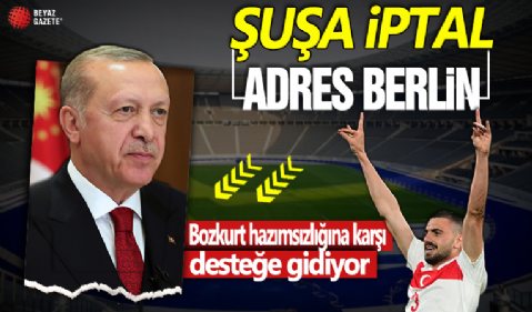 Başkan Erdoğan Türkiye - Hollanda maçını yerinde izleyecek! Merih Demiral ve A Milli Takım'a destek