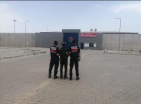 Çocugun Cinsel Istismari Suçundan Aranan Sahsi Jandarma Yakaladi