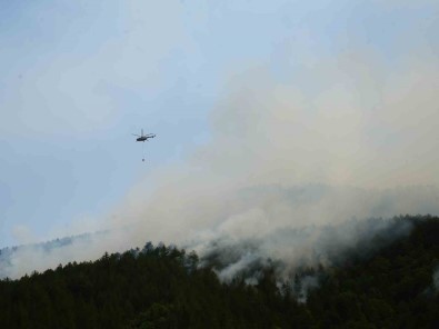 Kastamonu'daki Orman Yangina 18 Saattir Müdahale Devam Ediyor