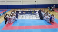 Tavsanli Büyük Bir Karate Organizasyonuna Hazirlaniyor