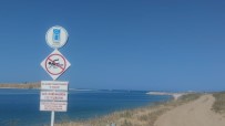 Uzmanindan Van Gölü'nün Akintilarina Karsi Uyari