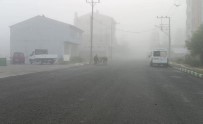 Göle'de Sis Etkili Oldu