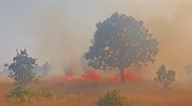 Mardin'de 5 Ayri Noktada Çikan Yangin Devam Ediyor