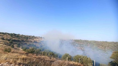 Mardin'de 5 Ayri Noktada Çikan Yangin Söndürüldü