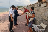 Vali Demirtas Sahil Denetimlerini Sürdürüyor Haberi