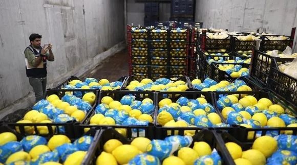 Çiftçide 1,5 lira olan limon tezgahta 20 liraya çıktı! Arz-talep dengesiyle açıklamak mümkün değil: 'Ne oldu bizim şu Hal Yasası işi?'