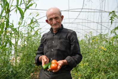 'Ata Tohumu Memleket Meselesi' Diyen 74 Yasindaki Çiftçi Ömrünü Organik Tarima Adadi