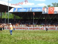 Kirkpinar'da Baspehlivanlardan A Milli Futbol Takimi'na Destek Haberi