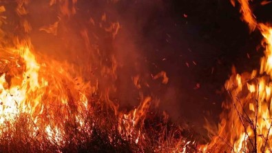 Tunceli'de Otluk Ve Agaçlik Alanda Yangin