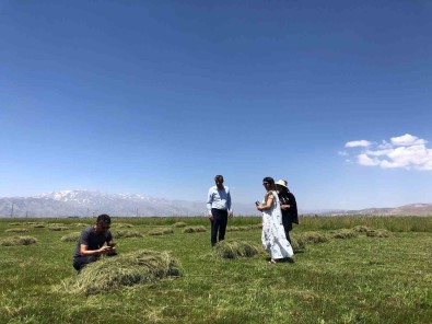 Yüksekova'da Yagislar Çiftçilerin Yüzünü Güldürdü