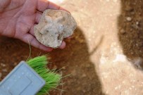 Diyarbakir'da Bin 500 Yillik Kilise Kalintisinda Yeni Buluntular