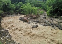Ordu'da Sel Sularina Kapilan Yasli Kadin Hayatini Kaybetti Haberi