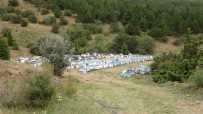 Türkiye'nin Ilk Milli Parkinda 'Bal Ormani' Olusturuldu Haberi