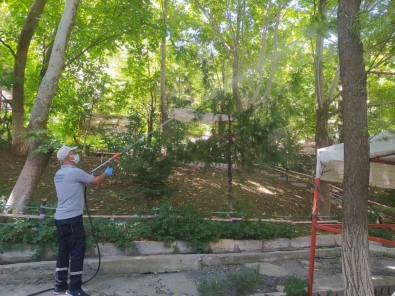 Hakkari'de Hasere Ile Mücadele Devam Ediyor