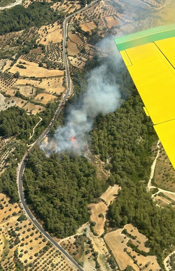 Muğla'da orman yangını
