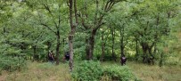 Kayip Sahis Ormanlik Alanda Sag Olarak Bulundu