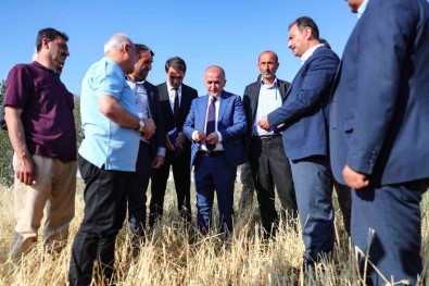 Tokat'ta Siddetli Yagislar Tarim Arazilerini Vurdu