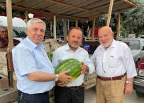 Vezirköprü Karpuzu Tezgahlarda Haberi