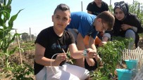Yalova'da Ilkokul Ögrencileri Tarimsal Sulama Için Kodlama Gelistirdi Haberi