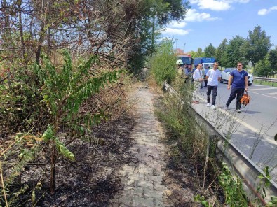 Bakirköy'de E5 Kenarinda Korkutan Yangin
