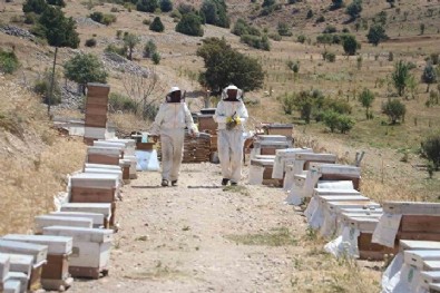 Binbir zahmetle üretiliyor: 100 gramı 2 bin 500 liradan alıcı buluyor