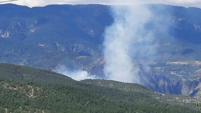 Çankiri'da Orman Yangini Açiklamasi Iki Katli Ev Ve 100 Ari Kovanini Zarar Gördü