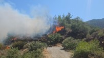 Hatay'da Çikan Orman Yangini Kontrol Altina Alindi
