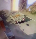 Kamyonetin Arkasinda Sürüklenen Köpegin Sahibi 'Kasadan Düstü' Dese De Gözaltina Alindi