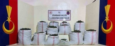 Lice'de 2 Milyon 715 Bin Kök Kenevir Ve Skunk Bitkisi Ele Geçirildi