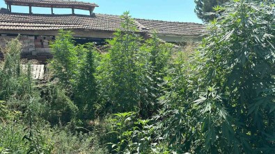 Manisa'da Zehir Tacirlerine Geçit Yok