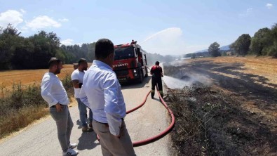 Sigara Izmariti Yakti