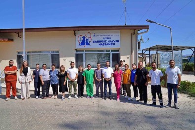 Sokak Hayvanlari Bu Hastanede Sifa Buluyor