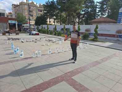 Tokatli Esnaftan Kuslara Su Bidonlu Koruma