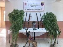 Zehir Tacirlerinin Sobaya Sakladiklari Esrari Narkotik Köpegi Buldu