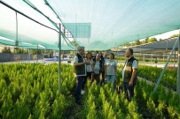 Adana'da Orman Varligi Yüzde 2.3 Artti