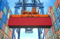 Düzce'den 7 Bin 658 Ton Ihraç Edildi Haberi