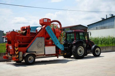 Findikta Devrim Yapan Patozun 50 Yillik Serüveni