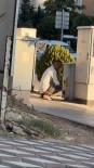 Kablo Hirsizi Kameraya Yakalandi Haberi