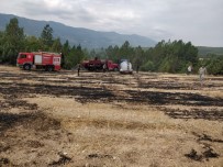Kopan Elektrik Telleri Yangina Neden Oldu Haberi