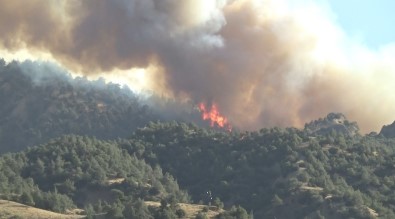 Manisa'daki Orman Yangini 8 Saattir Sürüyor