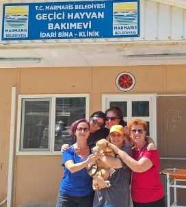 Marmaris'te 7 Ayda 157 Patili Dost Yeni Yuvasina Kavustu