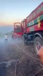 Sakarya'da Orman Yangini Haberi