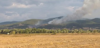 Tokat'ta 20 Dönüm Ormanlik Alan Kül Oldu