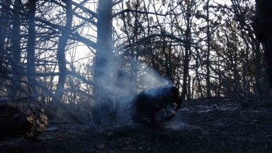 Yozgat'taki Orman Yangininda 2 Kisi Gözaltina Alindi