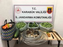 Bahçeden Çaldiklari Poset Poset Salatalik Ve Fasulyelerle Ormanda Yakalandilar Haberi