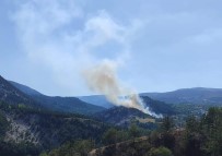 Kütahya'da Orman Yangini Haberi
