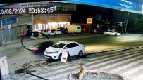Otomobilin Çarptigi Bisikletli Çocuk Metrelerce Havaya Uçtu, O Anlar Kamerada Haberi