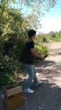 Tedavi Edilen Sahin Yeniden Dogaya Kavustu Haberi