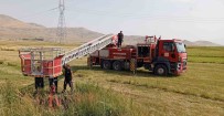 Van'da Inek Kurtarma Operasyonu Haberi